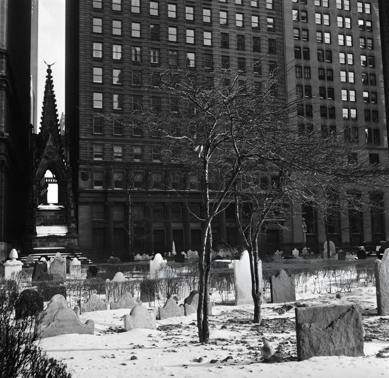 17Th And 18Th Century Graves Covered With Snow In The Cemetery Surrounding Trinity Church, 1947.