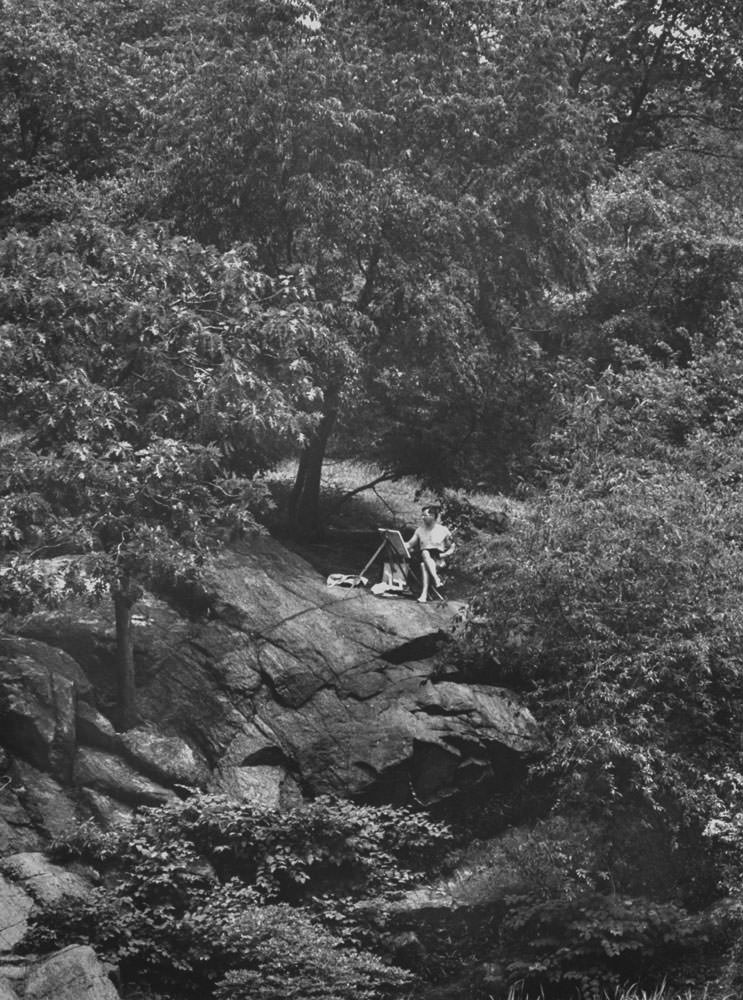 Everyday Life In Central Park In The Summer Of 1961 Through Vintage Photos