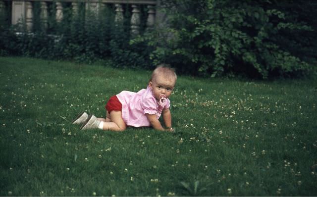 Through The Lens Of Time: A Family'S 1970S Photo Album Offers A Unique Glimpse Of New York City Life