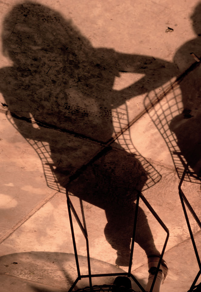 Shadow Of A Woman At Moma, 1981