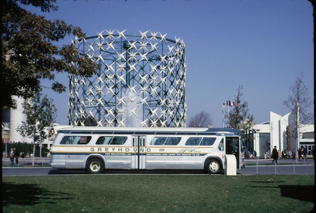 Greyhound Gmc Fishbowl