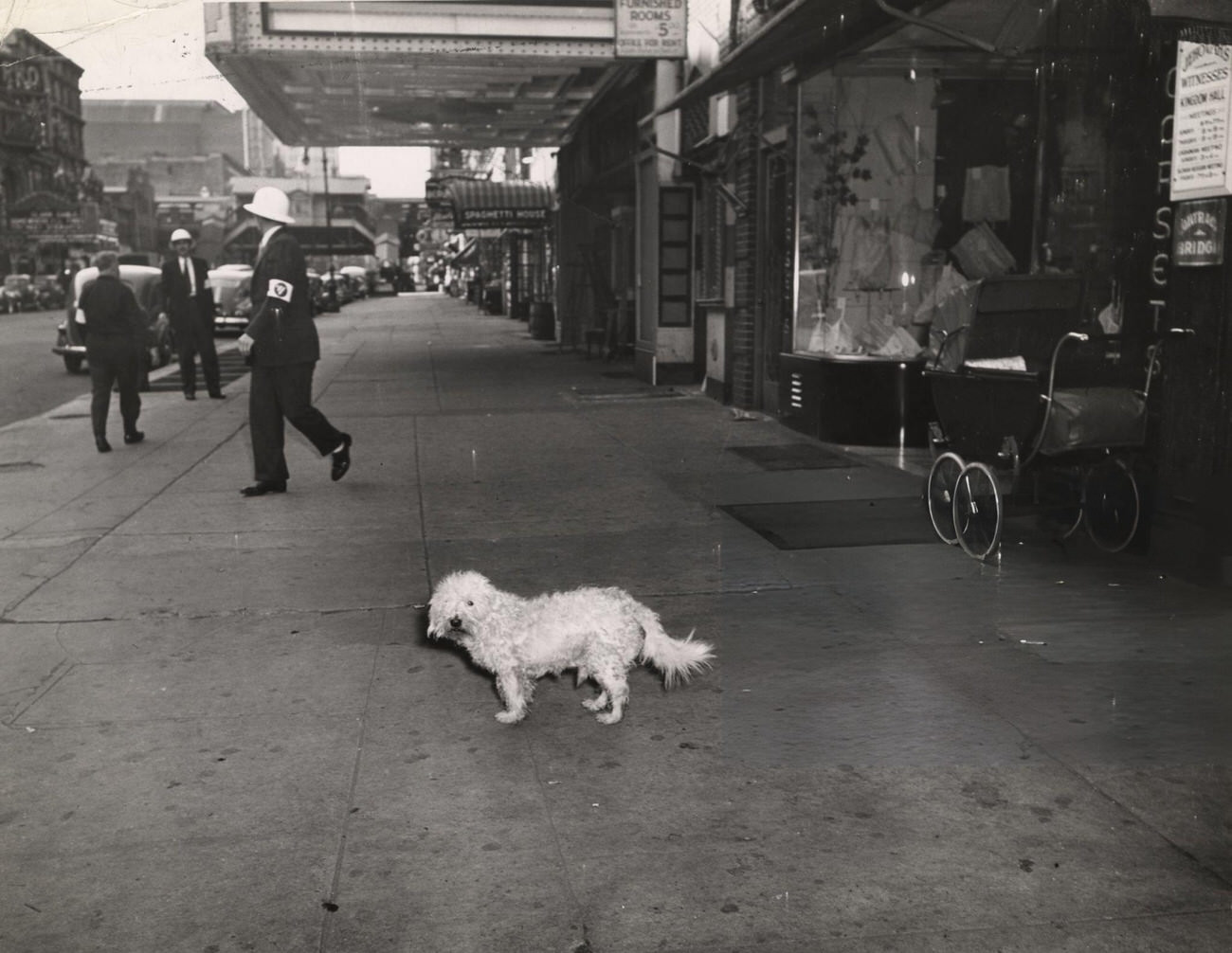 A Dog On A Times Square Sidewalk, With Two Men Wearing Civilian Defense Air Raid Warden Armbands And Hats, 1942.