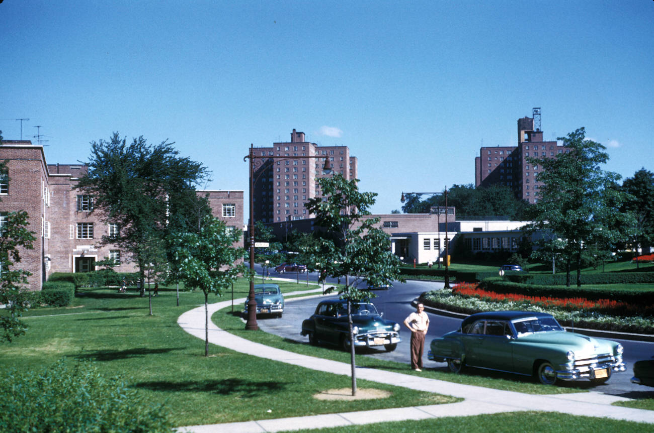 A View Of A Residential Street In Fresh Meadows, 1952.