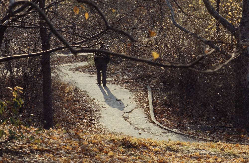 Old people in Central Park enjoying the sun, Manhattan, 1978.