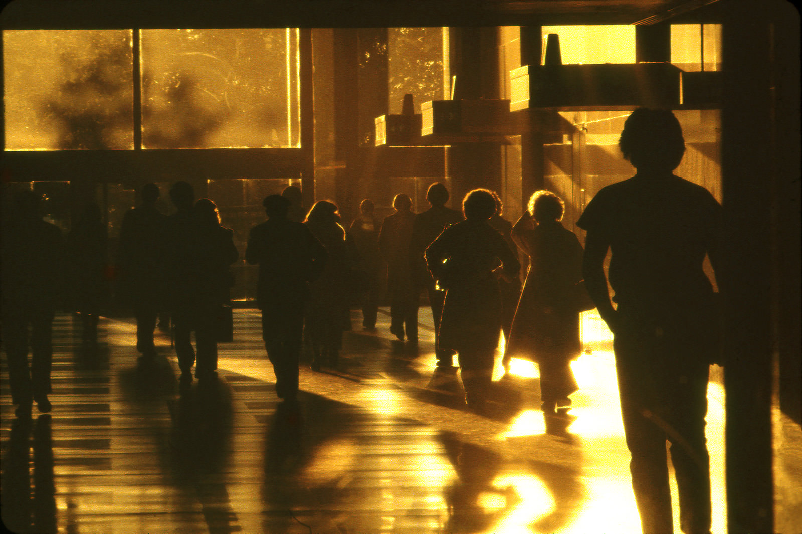 Rush hour, Wall Street building, Manhattan, 1978.
