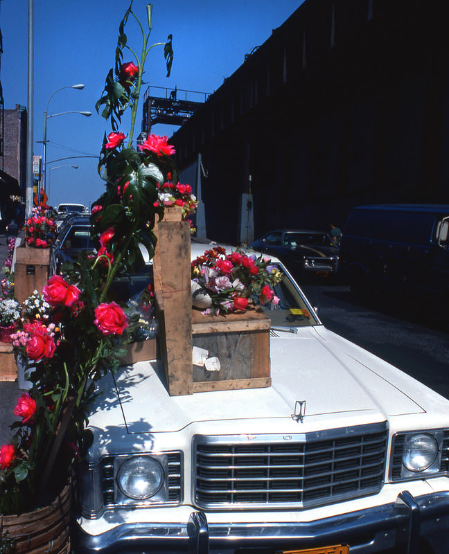 Red Roses on a white car in Manhattan, 1977.