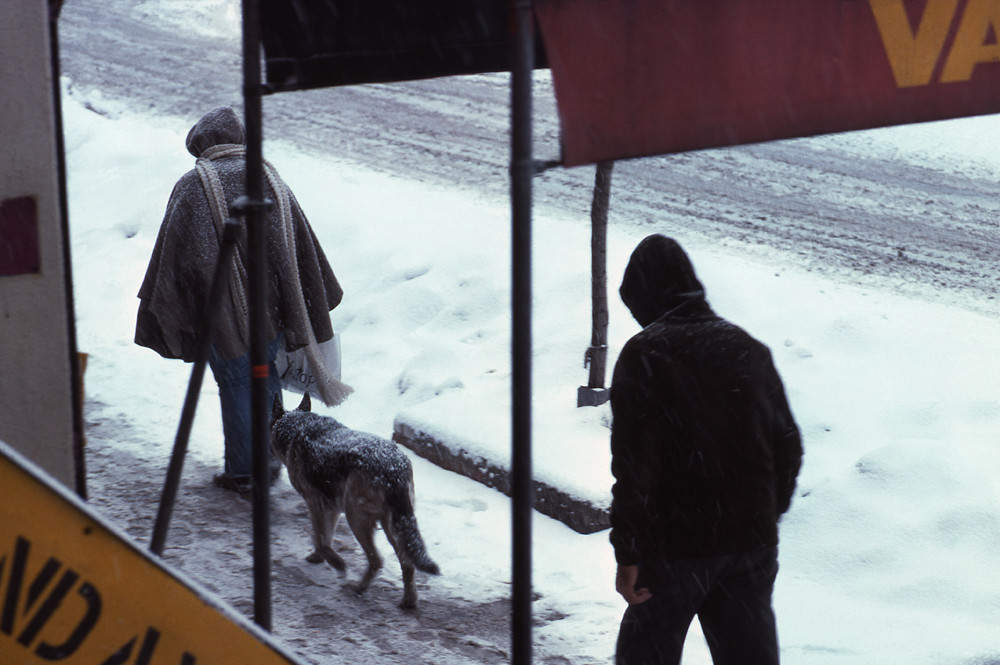 A snowy day, St. Mark's Place, Manhattan, 1978.