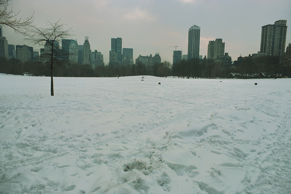 Snow in Central Park, Manhattan, 1978.
