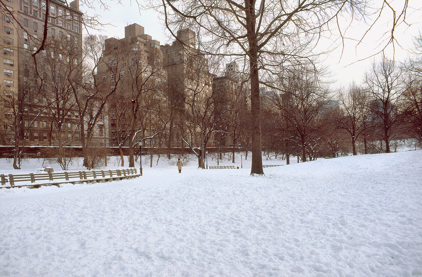 Snow in Central Park, Manhattan, 1978.