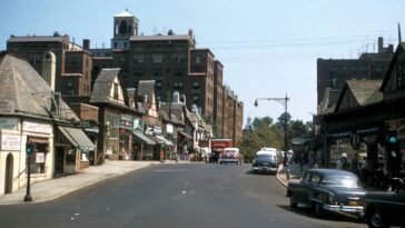 New York City By Harold Mayer