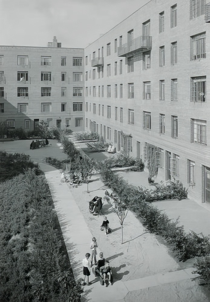 Looking down in No 5 garden, 1935.