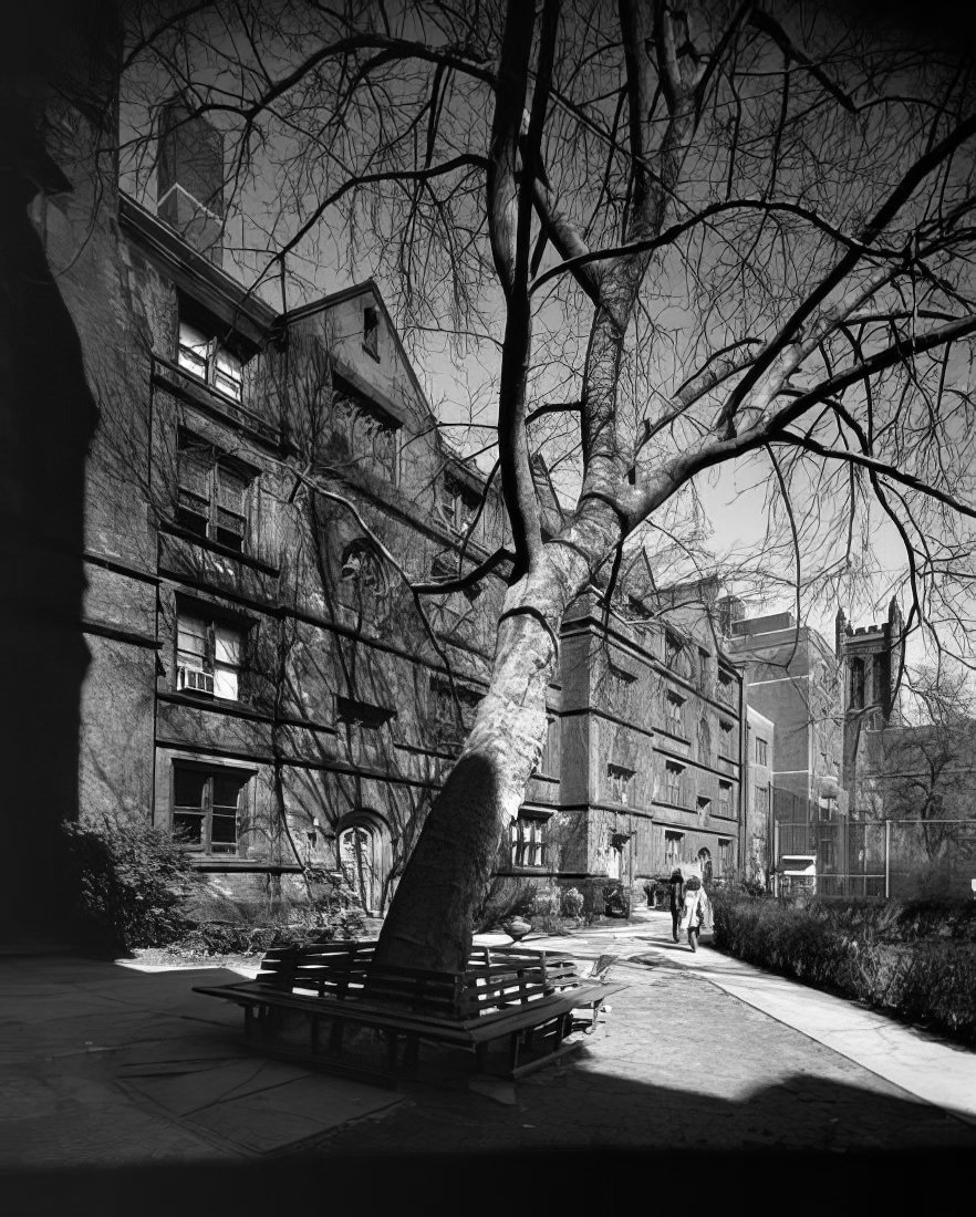 Grounds of the General Theological Seminary, 1973.