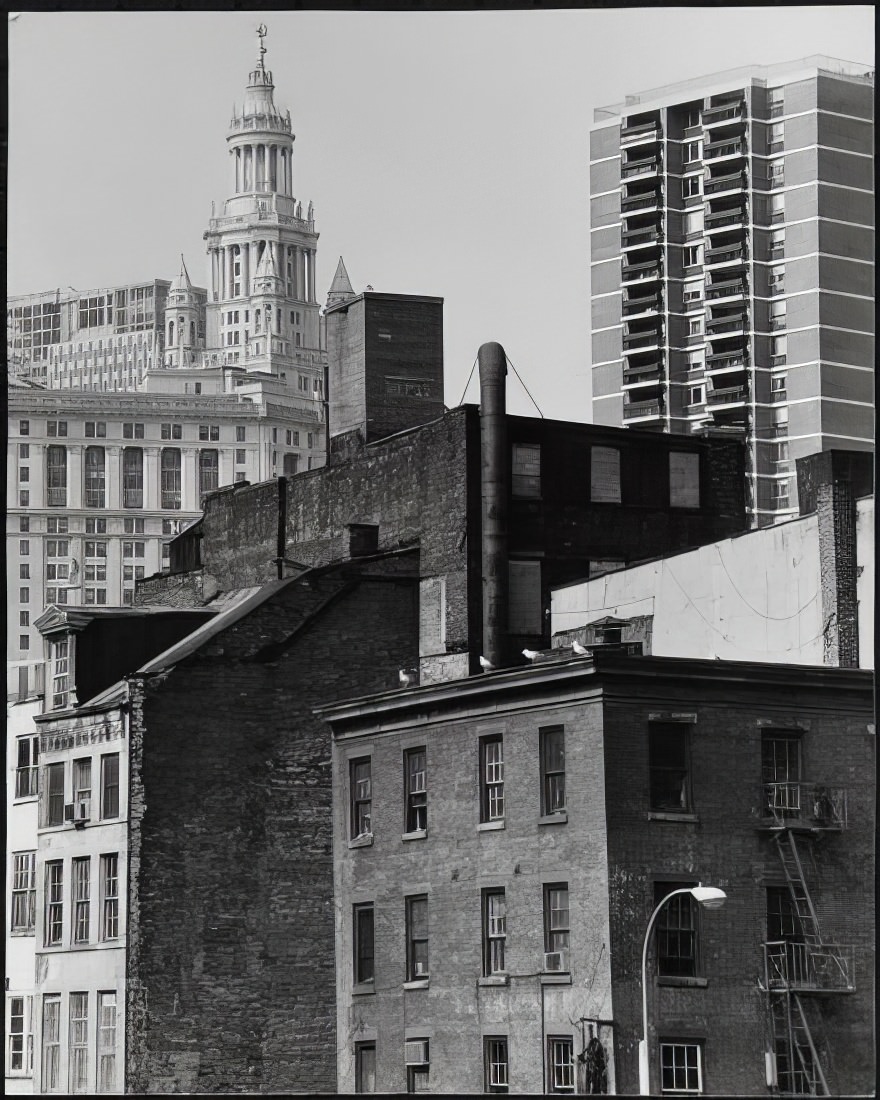 Looking northwest across the rooftops of buildings on Beekman Street, 1973.