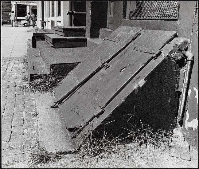 Cellar door, metal-covered steps, and cobblestone paving at 165 John Street, 1973.