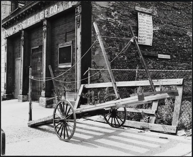 Cart near Finest Fillet Co. at 214 Front Street, 1975.