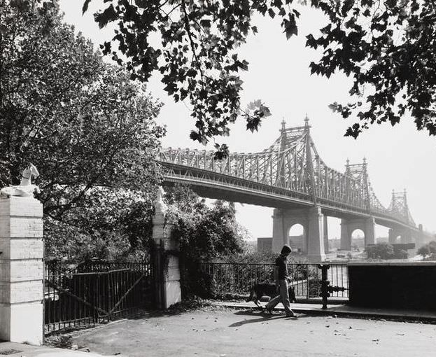 Riverview Terrace at Sutton Square, 1978.