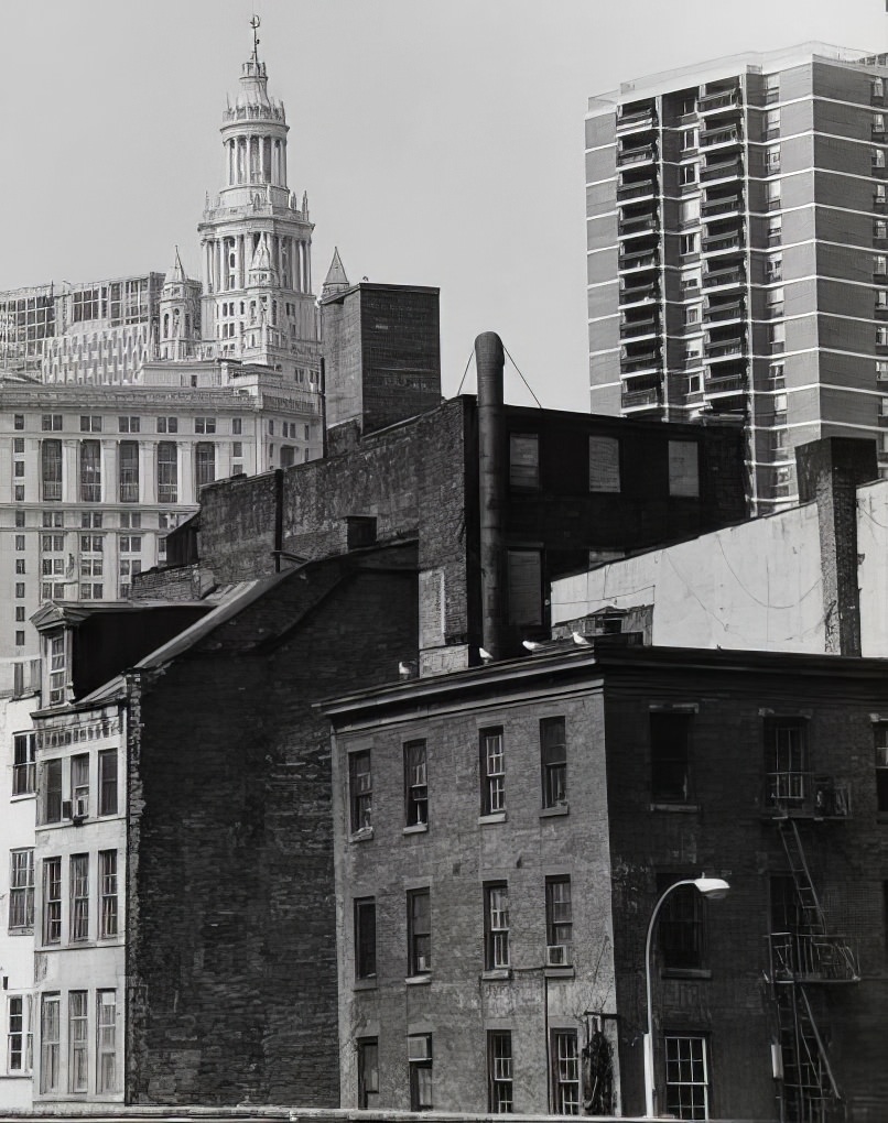 Looking northwest across the rooftops of buildings on Beekman Street, 1975.