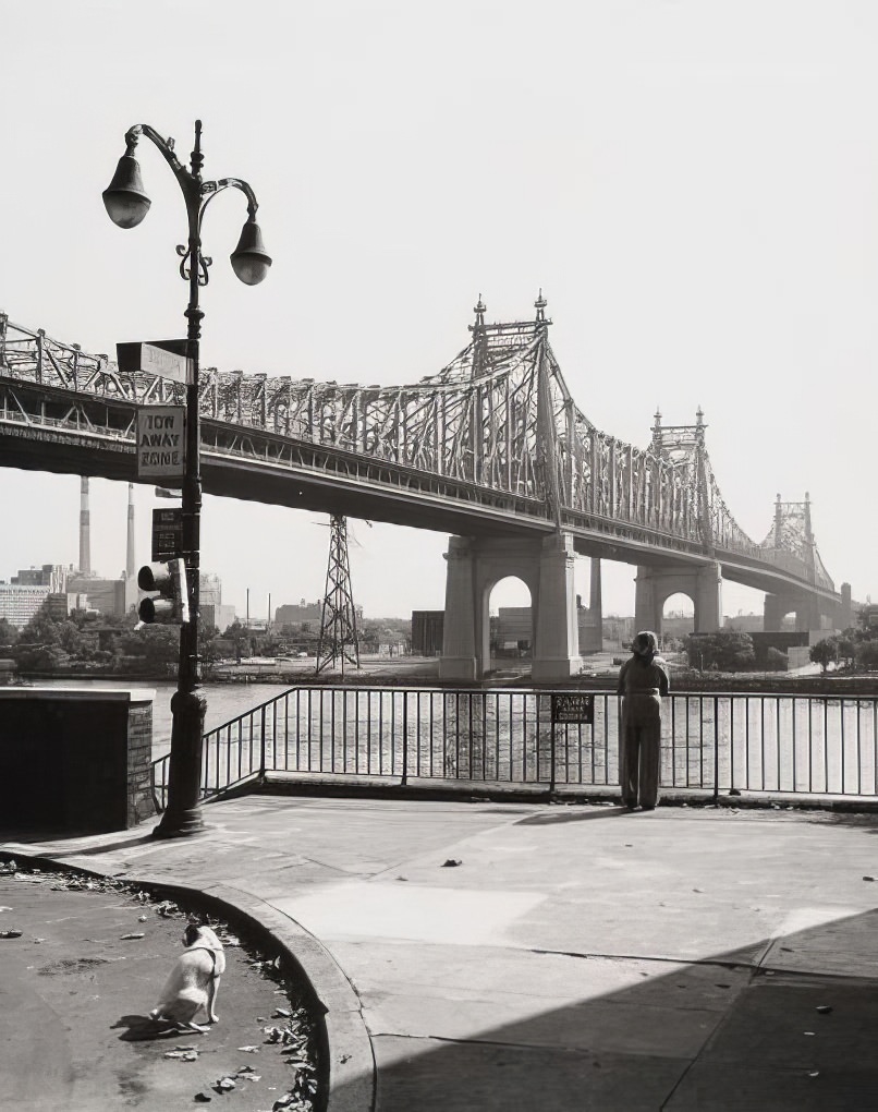 East River from Riverview Terrace at Sutton Square, looking east, 1975