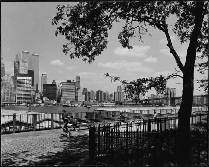 Lower Manhattan from Brooklyn Heights Promenade, 1974