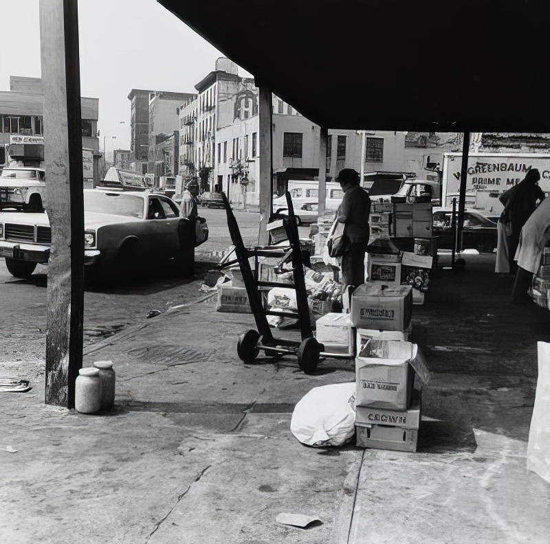 South along Ninth Avenue near Little West 12th Street in the Gansevoort Market Historic District, 1973