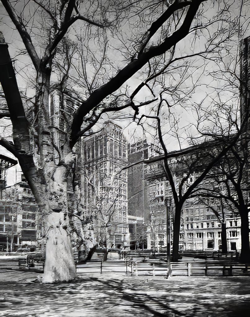 Madison Square Park, 1971