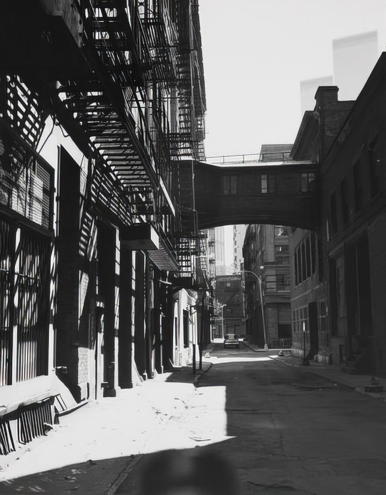 Staple Street, showing footbridge between old House of Relief and ambulance annex of the New York Hospital, 1974