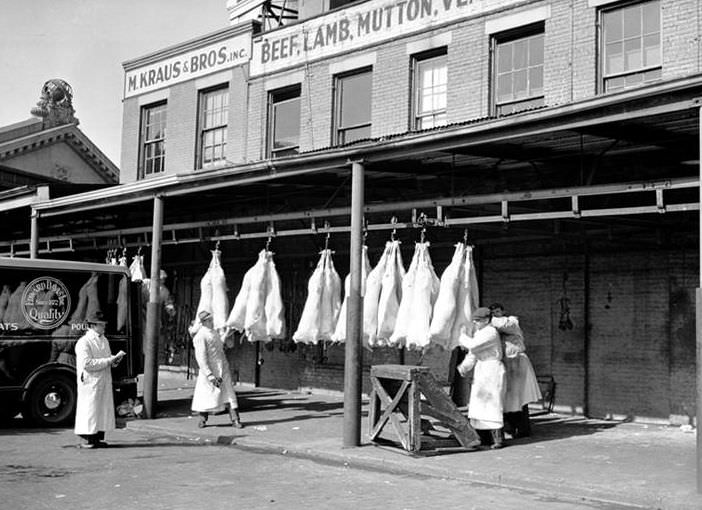 Beef-Loading/Weighing, 1938.