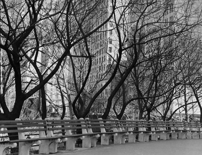 Park Benches, 1935.