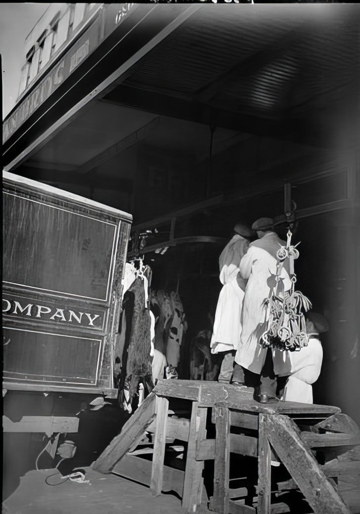 Beef – Weighing and loading, 1938.