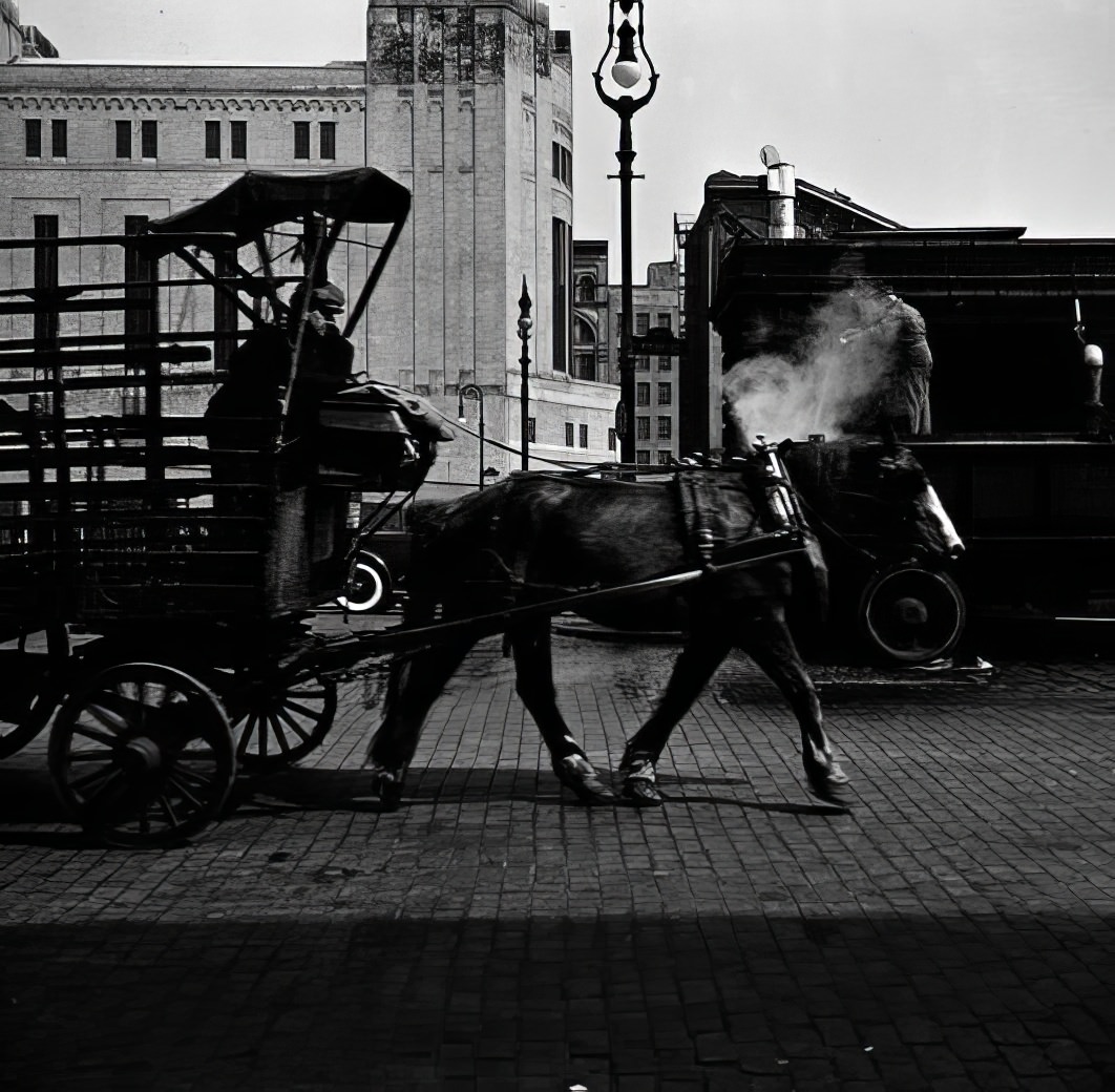 Horse, 1937