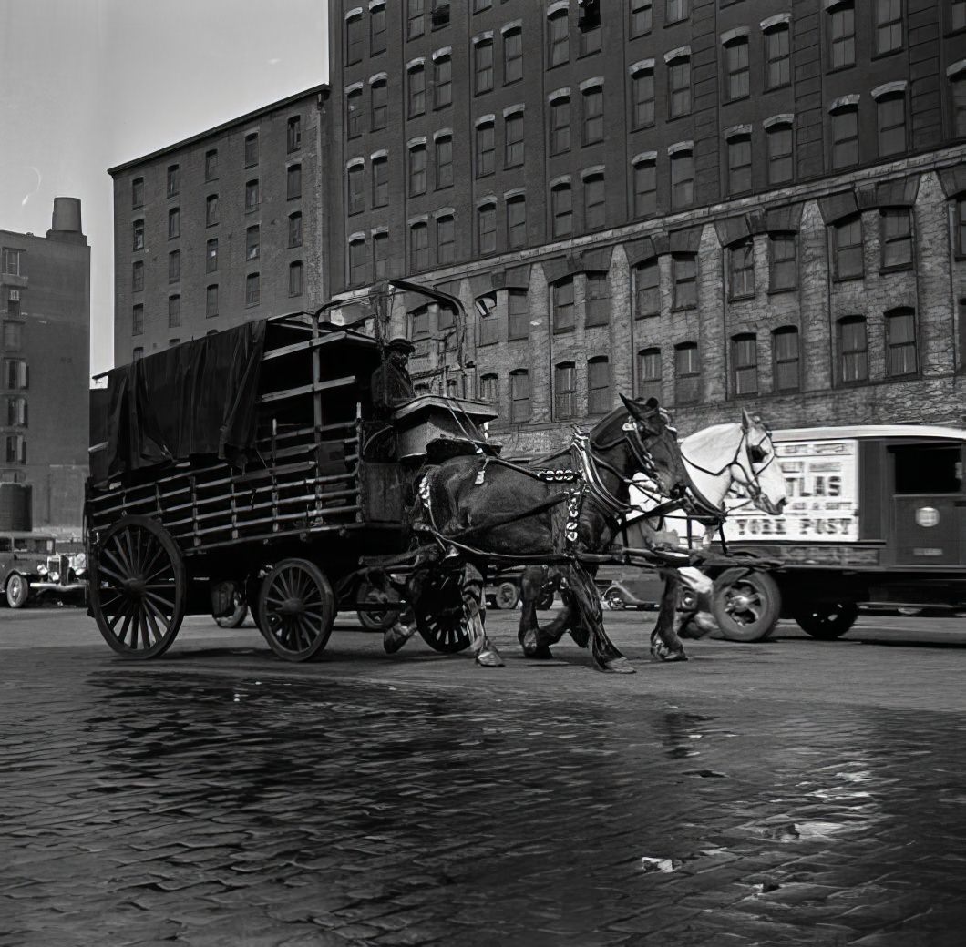 Horse and wagon, 1936.