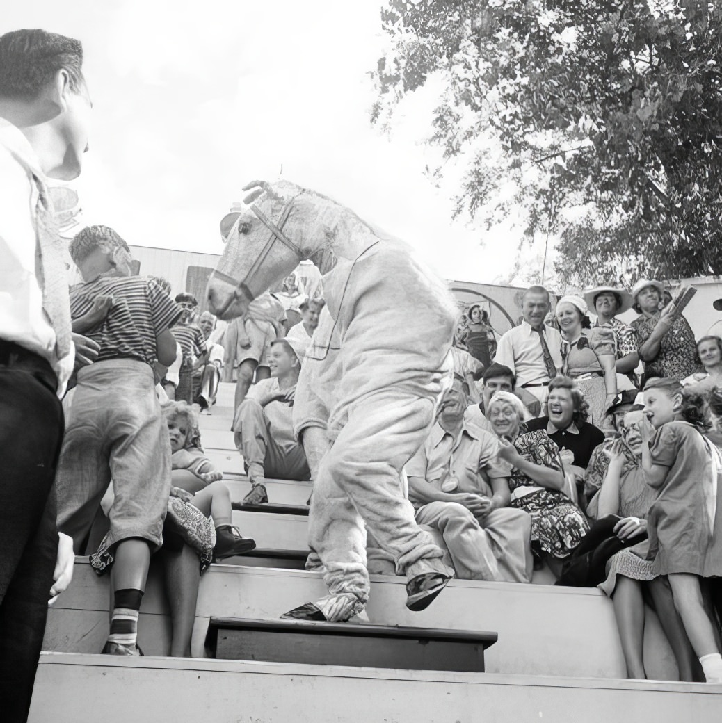 Steeplechase Circus—Horse, July 1939