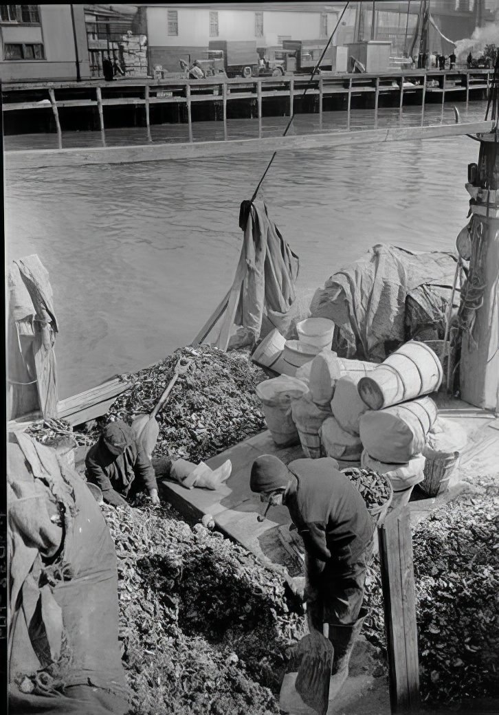 Fulton Street Market: Unloading mussels, 1938.