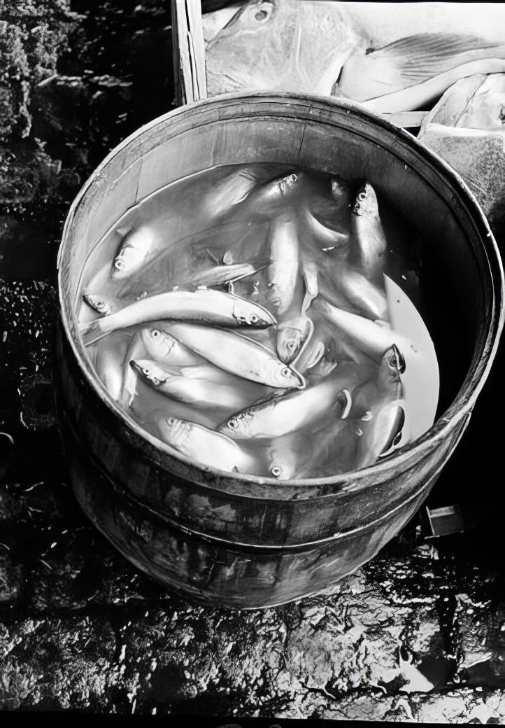 Fulton Street Market: Herring barrel, 1938.