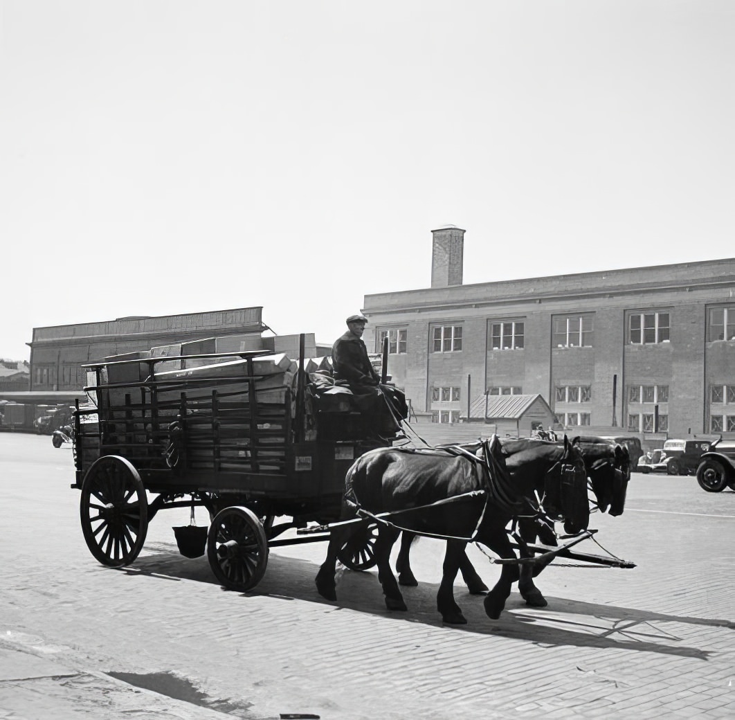 Horse-drawn cart, 1938.