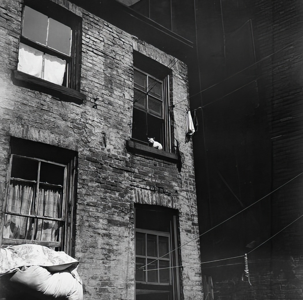 Tenement building, 1936.