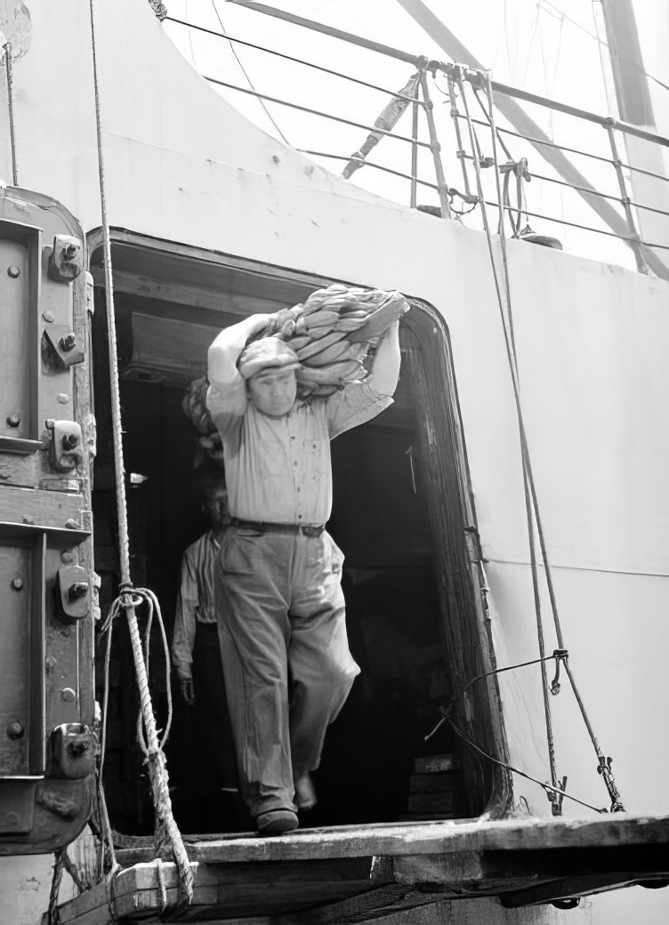 Loading bananas, 1938.