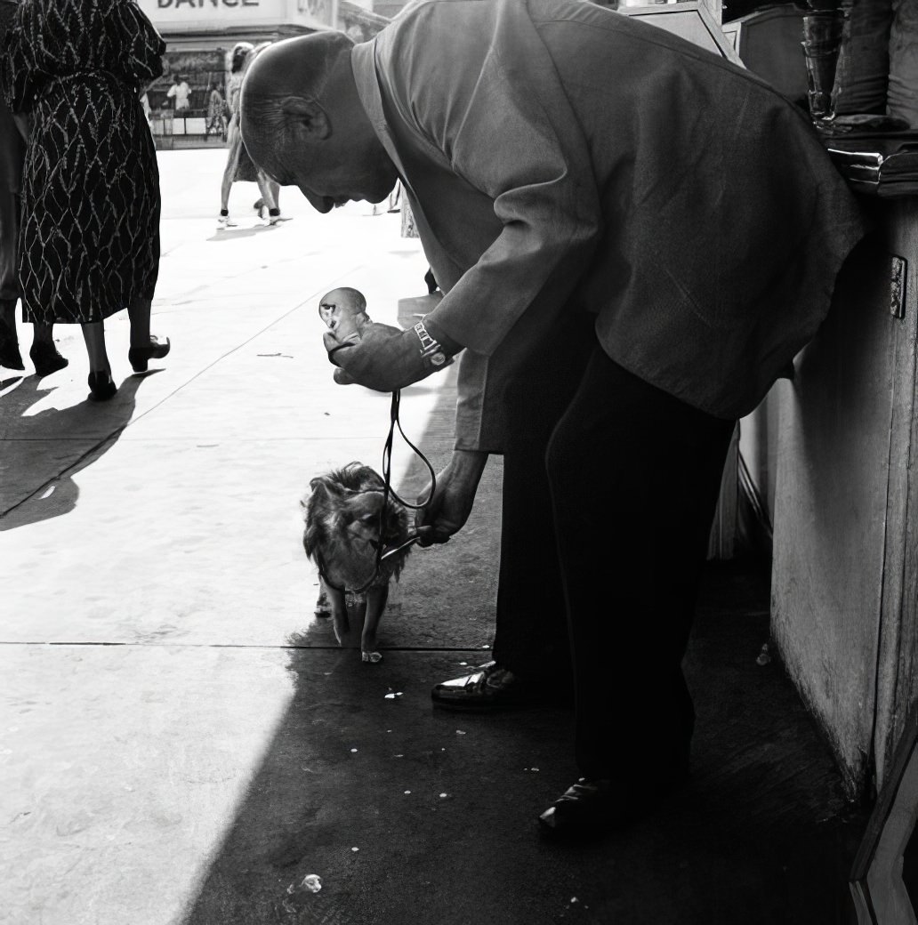 Feeding ice cream to the dog, July 1939.