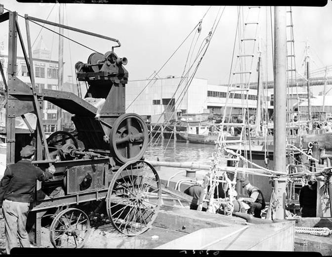 Fulton Street Market: Ice chopper, 1938.