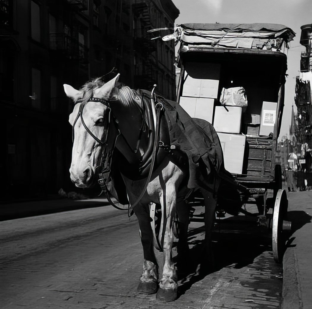 Horse, 1937.