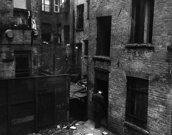 Back of tenements, 1936.