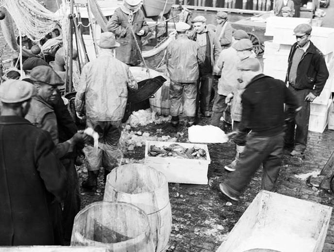 Icing fish at the Fulton Street Market, 1938.