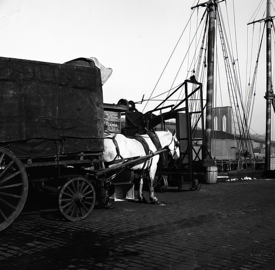 Waterfront scene: horse-drawn delivery wagon, May 1937.