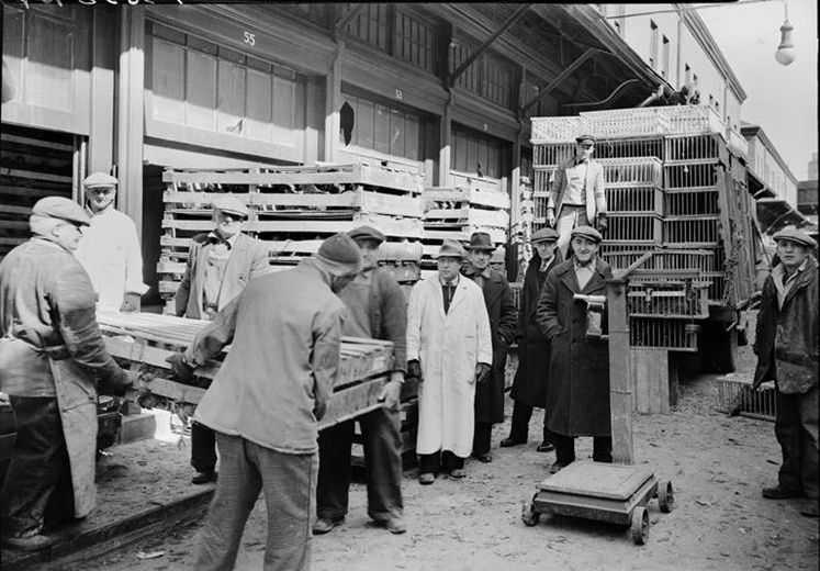 West Washington Market: poultry, 1938.