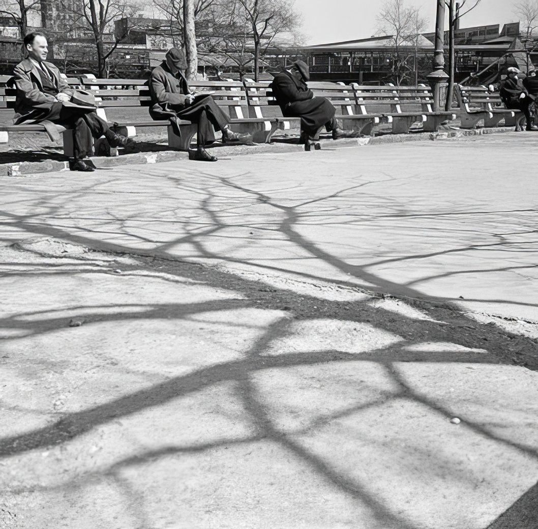 Shadow of a tree, 1937.