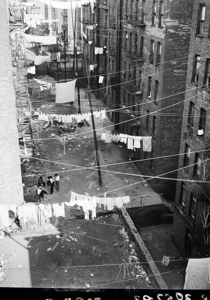 Backyards with laundry lines, 1939.