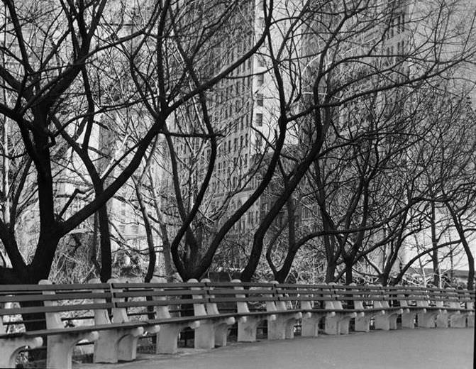 Park benches, circa 1936.