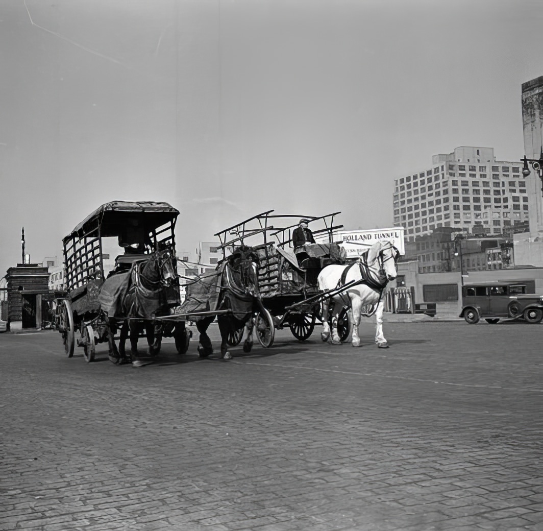 Horse-drawn carts, 1937.