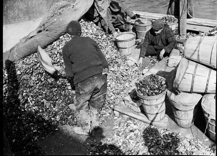 Fulton Fish Market: unloading mussels, 1938.