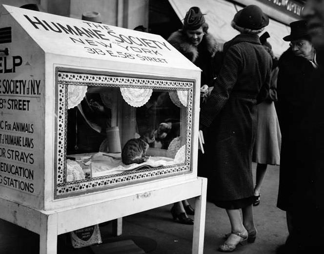 "Be Kind to Animals", 1940.